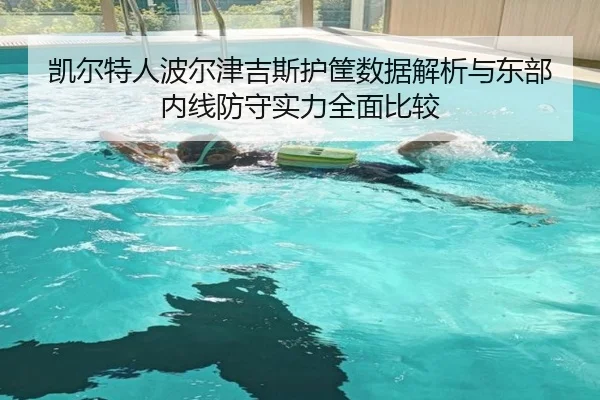 凯尔特人波尔津吉斯护筐数据解析与东部内线防守实力全面比较